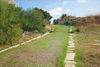 DSCF0692 — копия